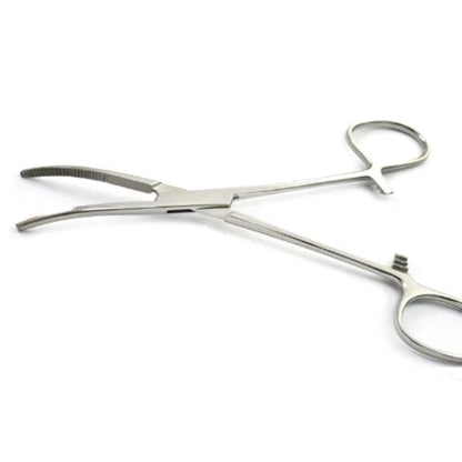 Kelly Forcep Curve Surgical Instrument